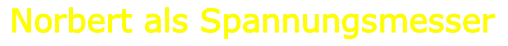 Norbert als Spannungsmesser
