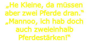 „He Kleine, da müssen aber zwei Pferde dran.“
„Mannoo, ich hab doch auch zweieinhalb Pferdestärken!“

